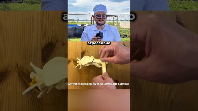 Расскажите, какими полезными советами вы пользуетесь, чтобы обезопасить своего любимца