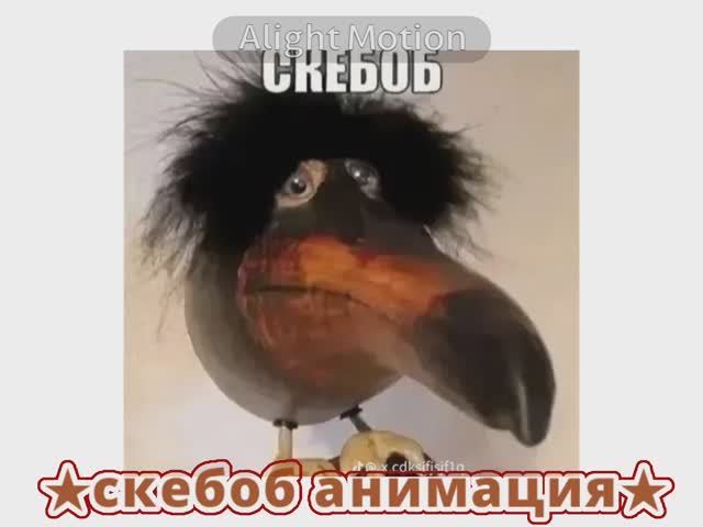 °•скебоб анимация•°