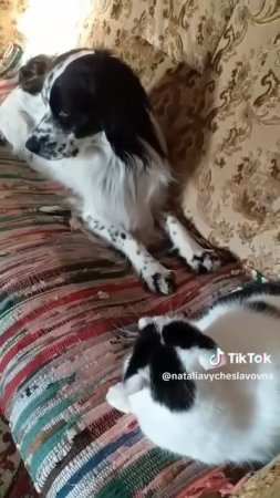 На диване...)))