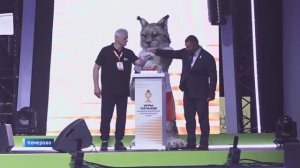 Игры титанов: Кузбасс впервые принял третью всероссийскую спартакиаду СУЭК