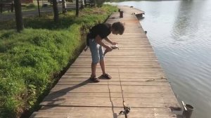 поимка форели на малом водоёме