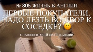 Надо лезть во двор к соседке. Первые покупатели. Наши чихуахуа. № 805 Жизнь в Англии