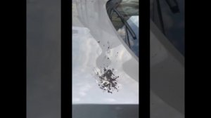 HAVAL отзыв владельцев ,вот что такое китайский ширпотреб 😄