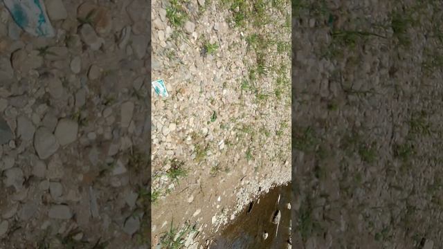 VID_20250712_120059.3gp