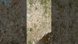 VID_20250712_120059.3gp