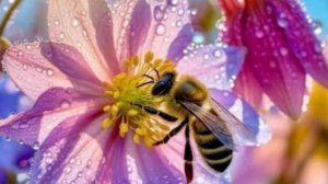 Желаю тебе прекрасного дня и хорошего настроения 🦋