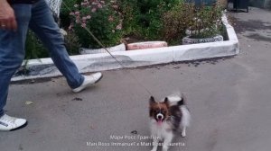 Мари Росс Гран-При