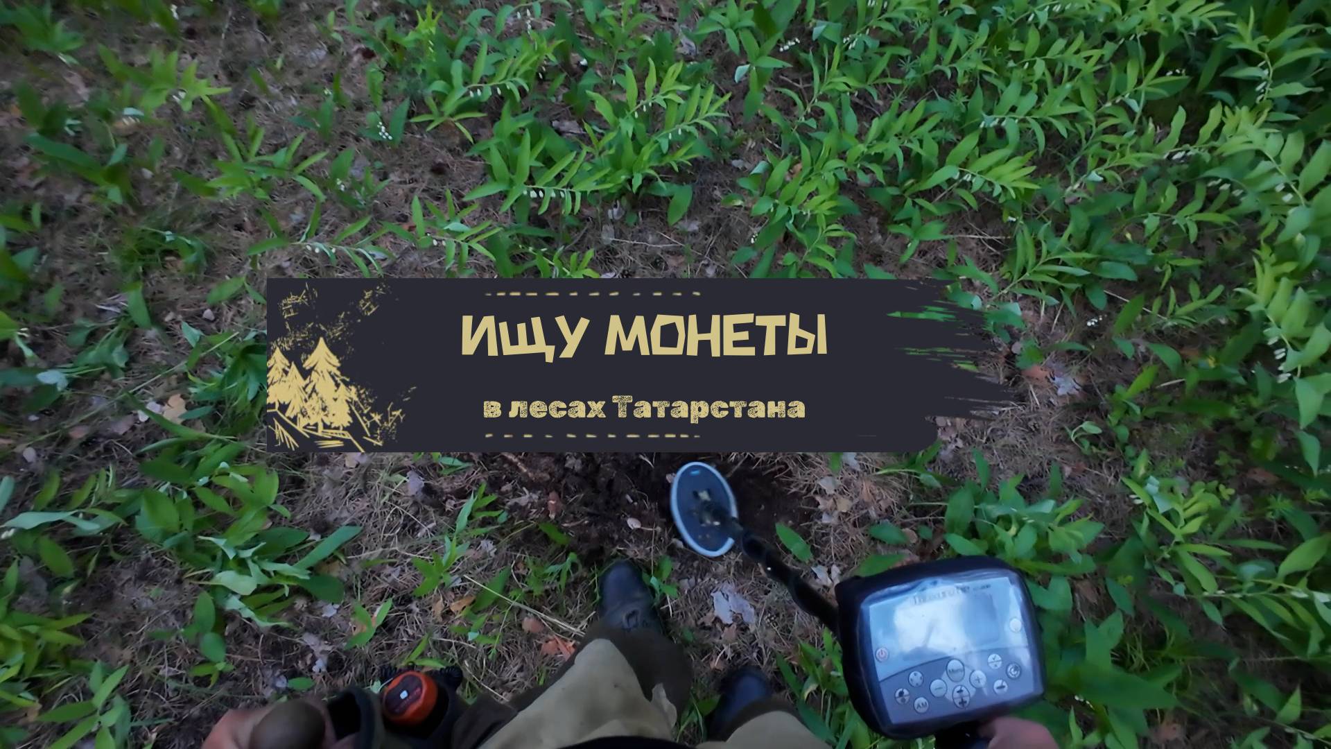 В лесах Татарстана