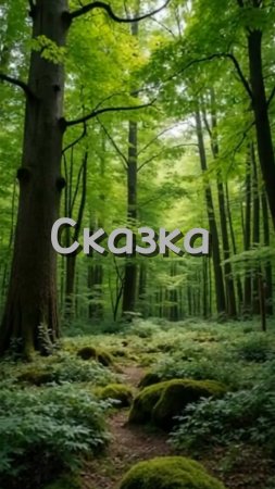 Сказки Пушкина А.С.