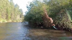 Хариус 440 мечты сбываются