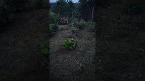 1000025195.mp4