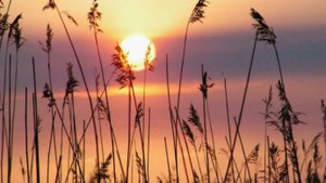 Истории из жизни|Одна встреча и разрушен брак|Аудио рассказы|Аудиокниги слушать онлайн|Жизненные