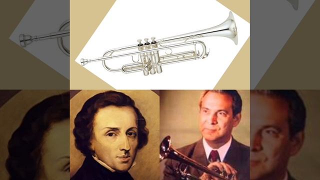 Фридерик Шопен - прелюдие 4 op.28