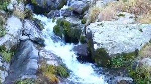 ЗВУКИ ПРИРОДЫ Журчание воды пение птиц ШУМ ГОРНОГО ВОДОПАДА РЕКИ