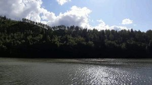 СИМ в Челябинской области