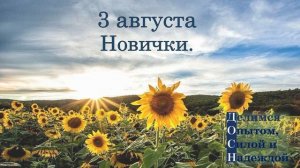 3 августа. Новички.