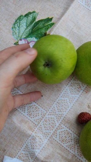 У нас уже груши поспели😀🍐