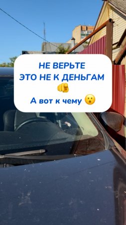 НЕ ВЕРЬТЕ ЭТО НЕ К ДЕНЬГАМ🫵
а вот к чему 😮
