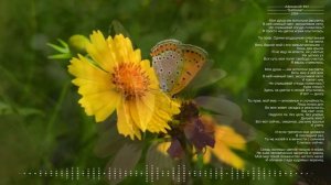 Афанасий Фет
"Бабочка"
1884