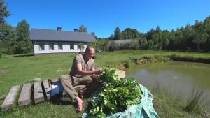 Хутор на краю Болота. Привыкаю к Соседству....