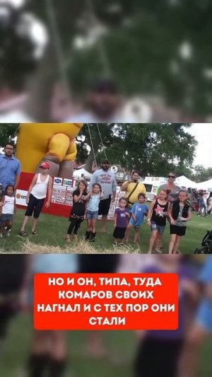 Фестиваль комаров в Клюте #факты #фестивали #комары