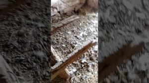 1000697955.mp4