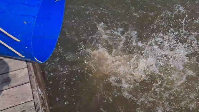 Запуск карпа смотреть онлайн