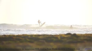 Видео, созданное нейросетью - отличите ли вы его от реальности - Hal (III) -- opo -- Estudios Indige