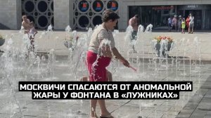 Москвичи спасаются от аномальной жары у фонтана в «Лужниках»