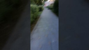 VID_20250712_215733.mp4