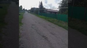 пробежка утром