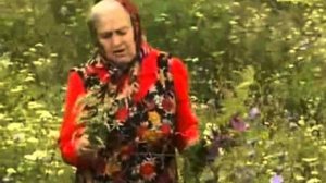 Советы и подсказки Зайцевой Е.Ф.