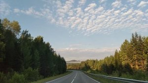 ...знает каждый Колосок 🌾 за него давали срок...
