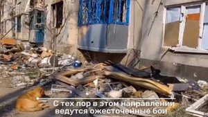 Из истории СВО