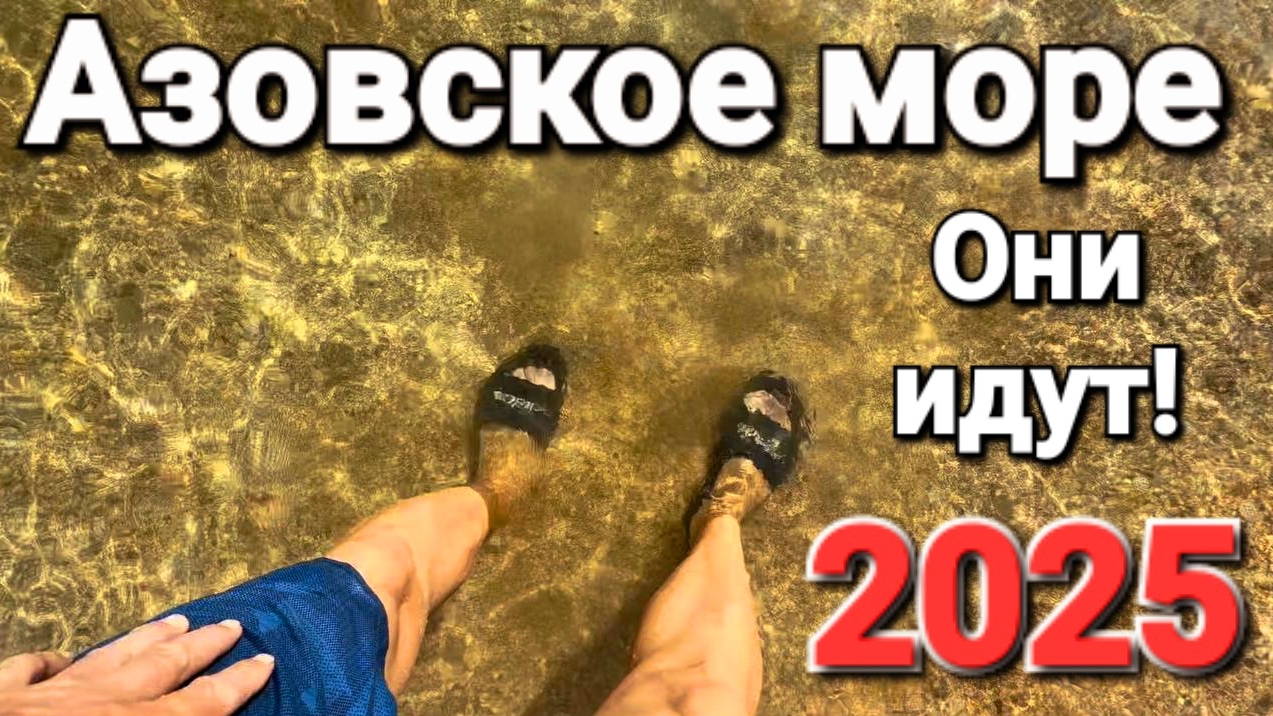 Суббота 12 июля 2025 Свежие новости с Азовского моря. Пляж Чайка и Центральный. Что с медузами