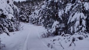 Зимний поход