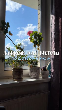 Артикул на кислородный карандаш (№2) WB #166670400 Ozon #1159756433 Мое спасение от пятен! #пятна