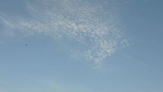 ...С НЕБА УПАЛО БОГОРОДИЦЫ ПОКРЫВАЛО...