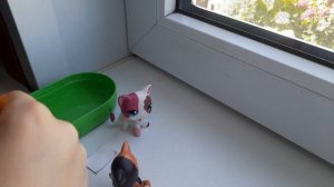 lps фильм принтер 🖨