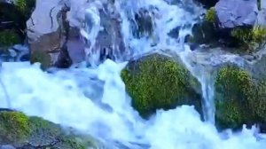 ЗВУКИ ПРИРОДЫ Журчание воды пение птиц ШУМ ГОРНОГО ВОДОПАДА РЕКИ