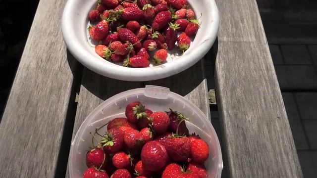 Клубника заканчивается