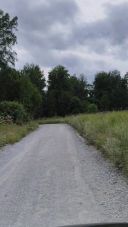 По лесу🚙🌲