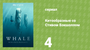 Китообразные со Стивом Бэкшоллом 4 серия «Выжившие в океане» (документальный сериал, 2023)