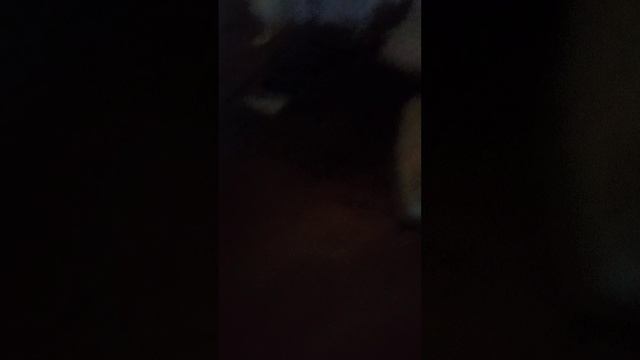 делаю из лестницы горку
