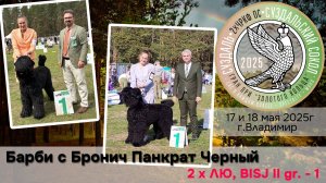 Выставки г.Владимир, 17-18 мая 2025, Барби с Бронич Панкрат Черный - 2хЛЮ, БИСЮ группы-1
