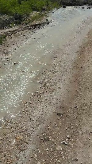 новая река Урожайный