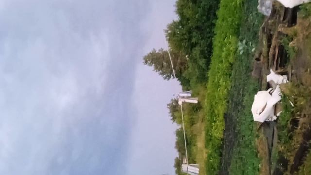 ⚡⚡⚡⚡⚡⚡⚡⚡