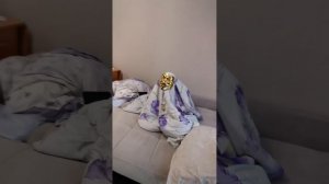 Я в гостях