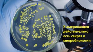 У американцев действительно есть секрет в микробиологии