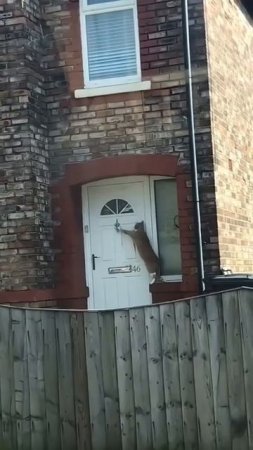 Наташа открывай